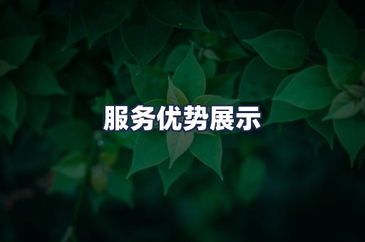 服务优势展示