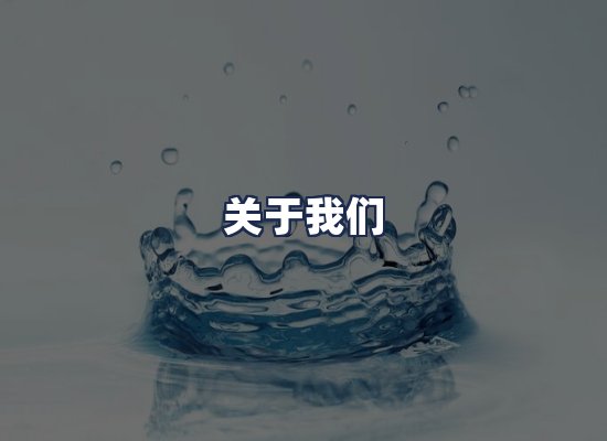 关于我们
